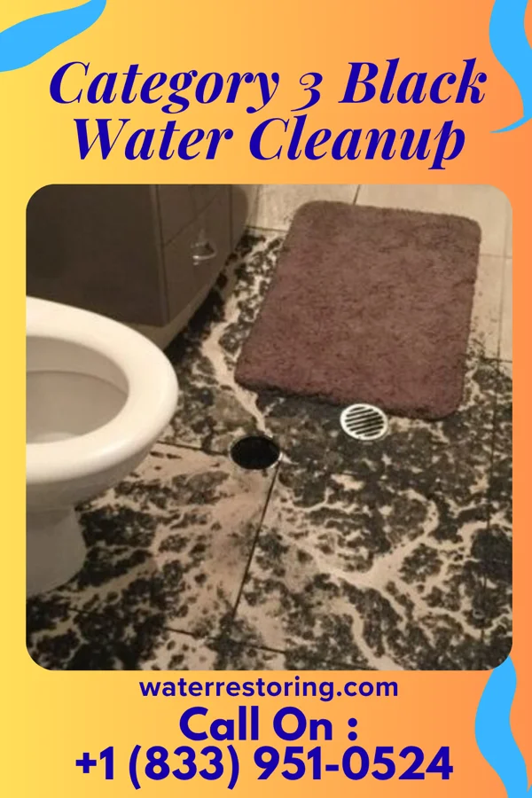 Category 3 Black Water Cleanup in Solon, OH