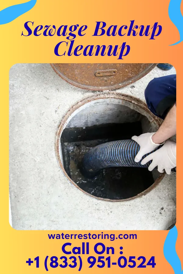 Sewage Backup Cleanup in Solon, OH