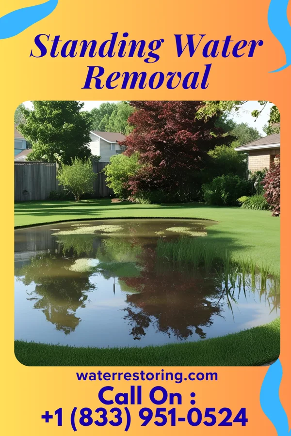 Standing Water Removal in Solon, OH
